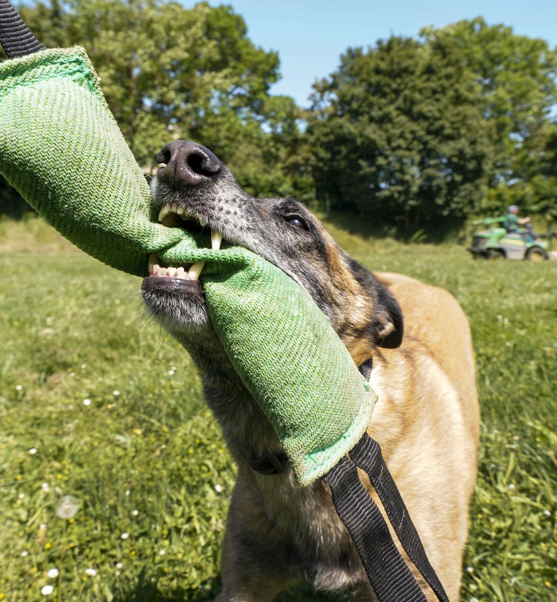 Visita a la unidad canina de la Ertzaintza