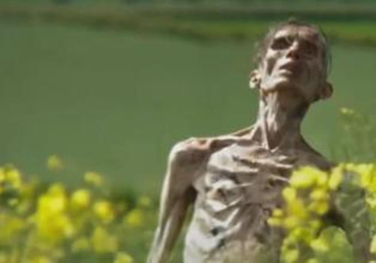 Un fotograma de '28 años después'.