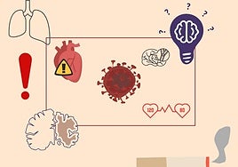 Las enfermedades neurodegenerativas están ya detrás de casi una de cada diez muertes en Gipuzkoa