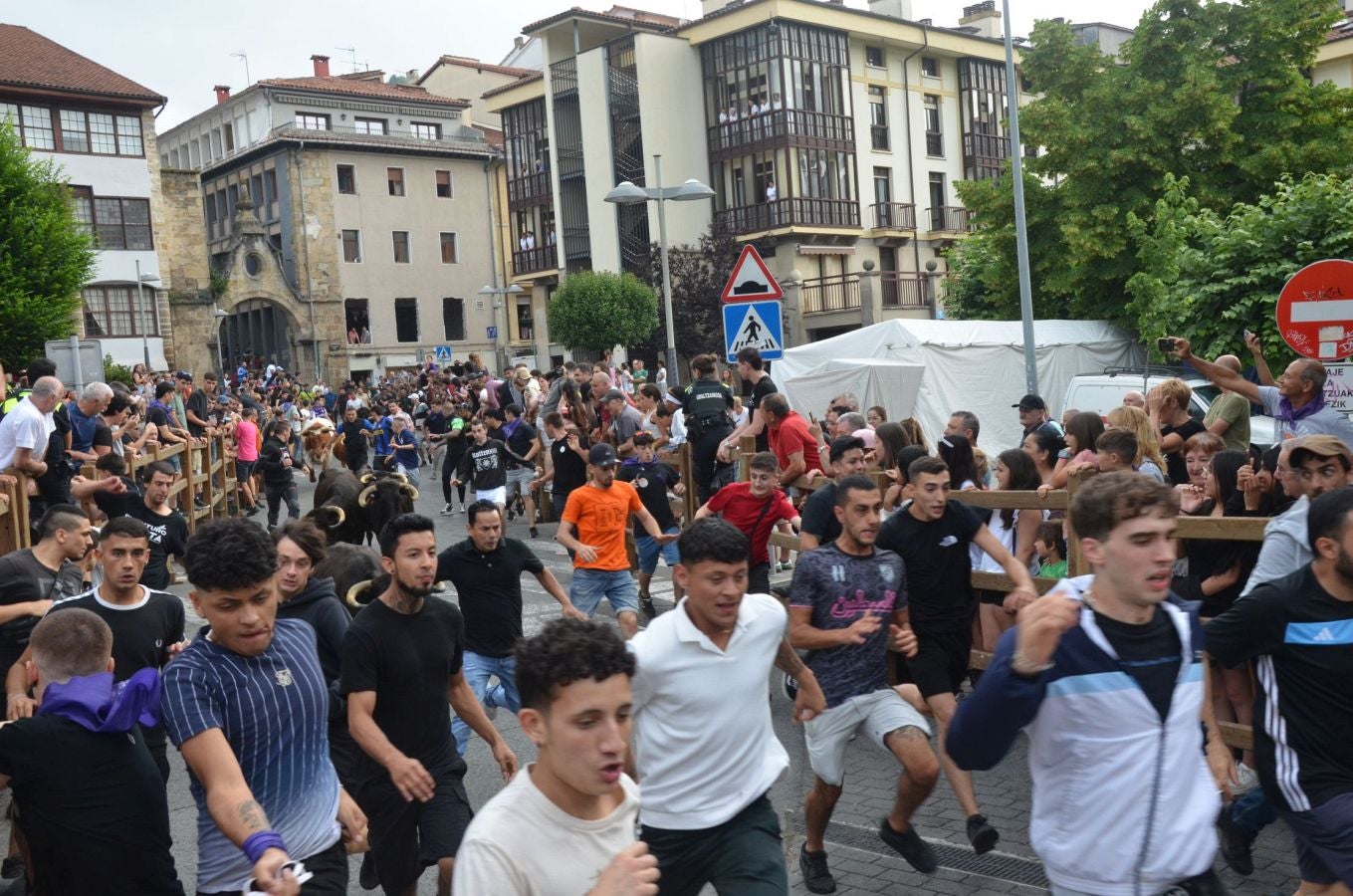 Primer encierro de las fiestas de Arrasate