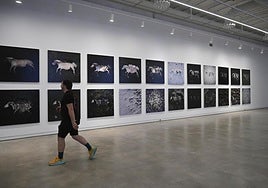 El imaginario del cineasta Hlynur Pálmason llega a Tabakalera