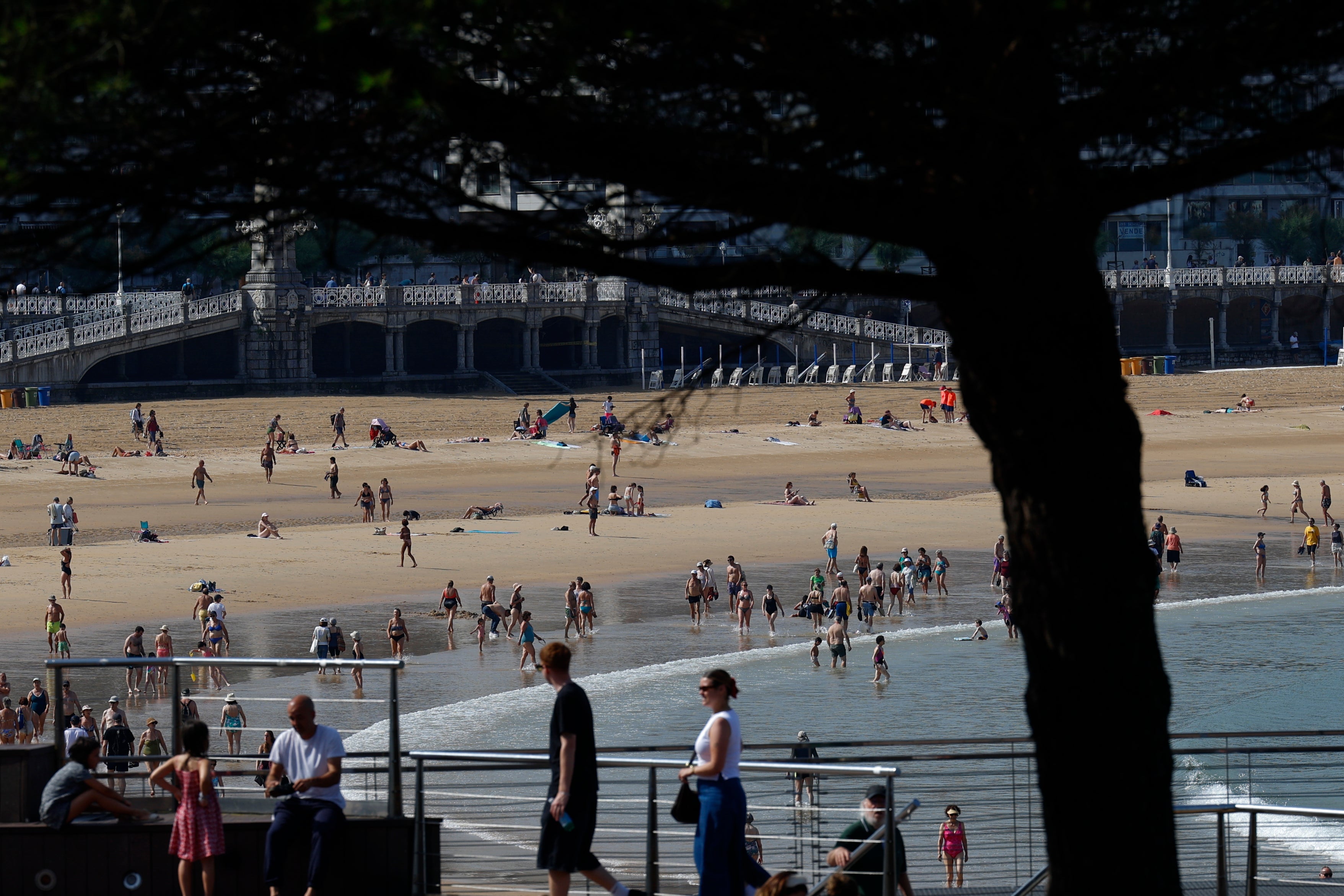 Locales y turistas disfrutan del buen tiempo junto a la playa de La Concha.