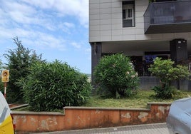Un lector se quejaba días atrás del estado de mantenimiento de una zona verde de Bertsolari Txirrita, próxima a una terraza hostelera habitualmente muy concurrida. Los servicios de limpieza han actuado esta semana en el jardín y lo han dejado como debía estar siempre. Ahora solo hay que esperar que no ocurra de nuevo.
