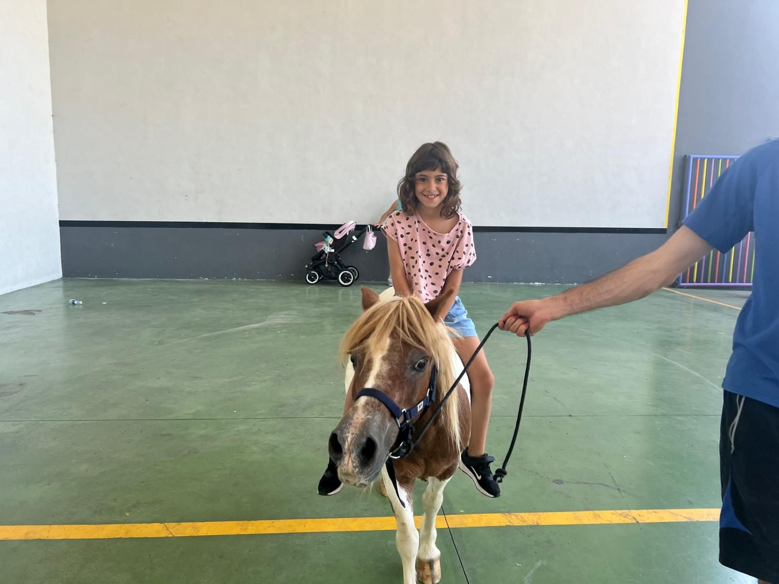 Domingo lleno de actividades en Zumarraga