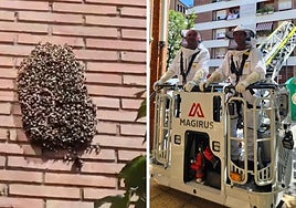 El enjambre y dos bomberos proceden a su retirada.