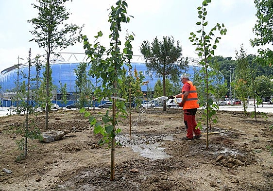 El parterre central tendrá una gran variedad de árboles de diferentes especies para generar una gran superficie de sombra.