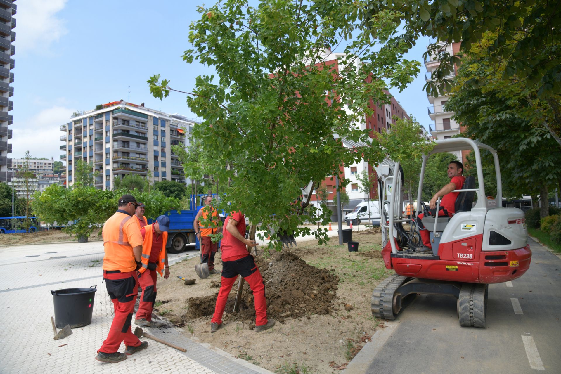Imagen principal - Un bosquete formado por 120 árboles completará la urbanización de Aita Donostia