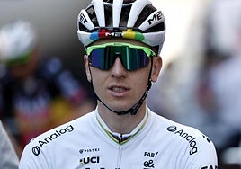 Hasta el rabo todo es toro