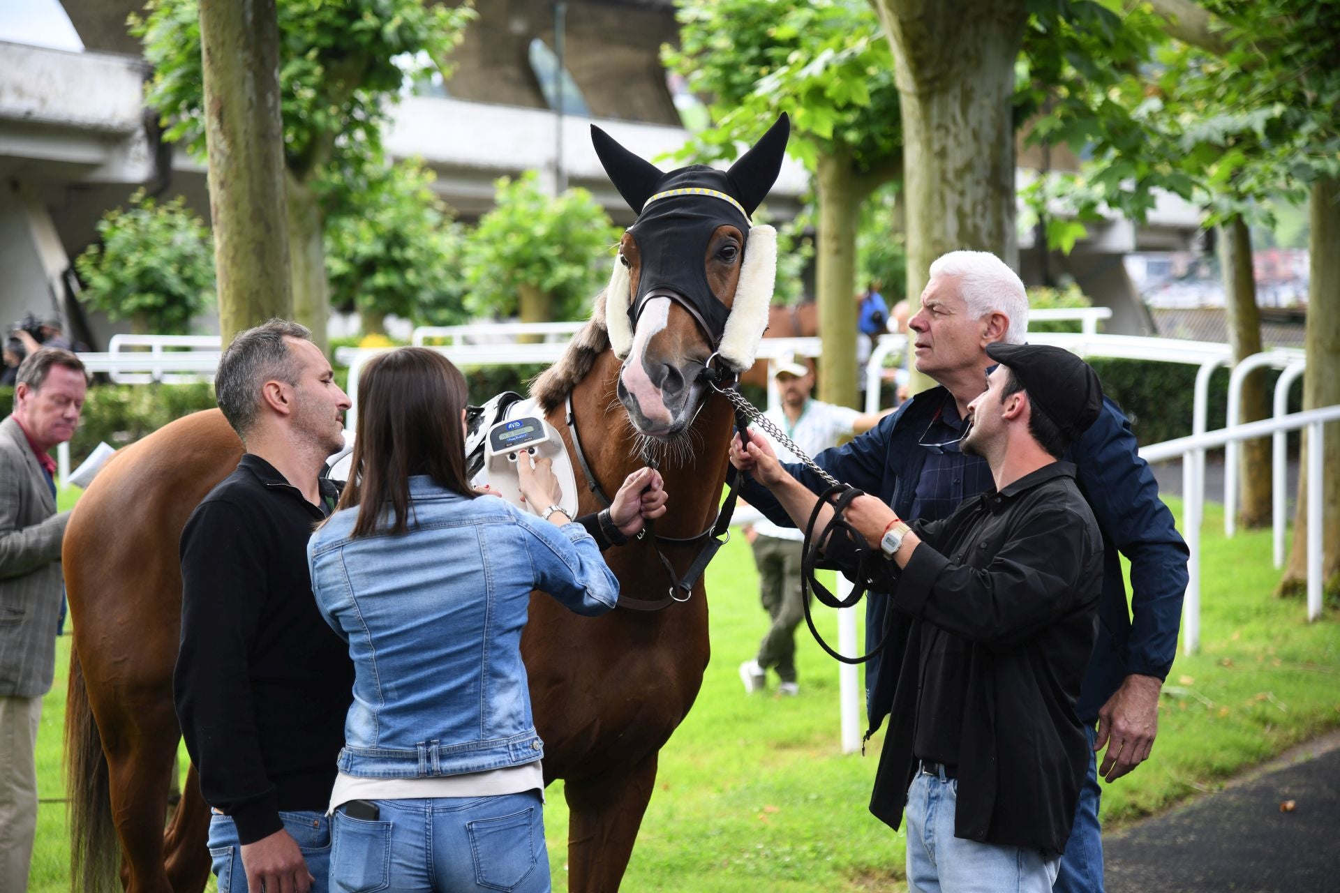 Carrera de caballos en el hipódromo de San Sebastián