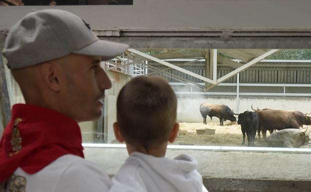 Un padre y su hijo observan los toros de la ganadería Álvaro Núñez.