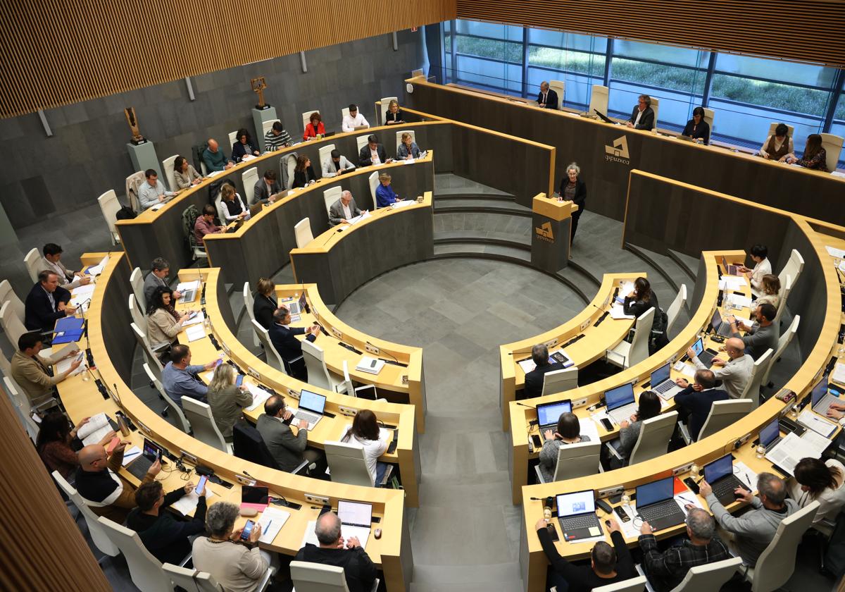 Pleno en las Juntas Generales de Gipuzkoa.