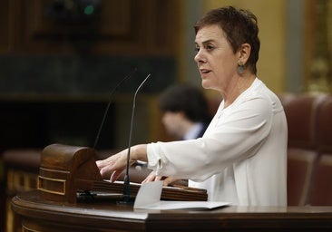 EH Bildu pide a Sánchez que «depure la corrupción de su partido y tome medidas» pero asegura que no va a «hundir la legislatura»