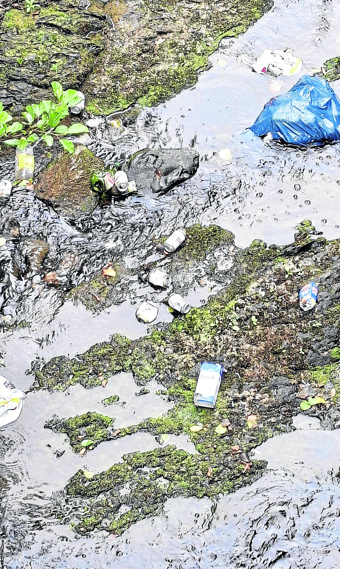 Imagen de parte de la basura hallada en el río.