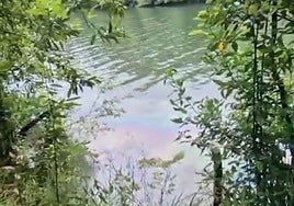 Investigan una mancha de hidrocarburos en el río Bidasoa entre la Isla de los Faisanes y Puntxas