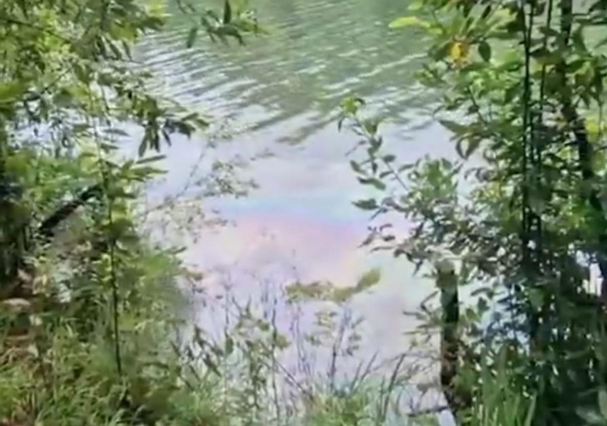 Investigan una mancha de hidrocarburos en el río Bidasoa entre la Isla de los Faisanes y Puntxas