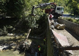 Retirada de árboles y limpieza del río esta semana entre Amezketa y Alegia