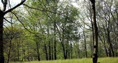 Aiako Harria natura-parkean kokatzen da Listorretako eremua.