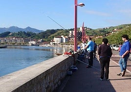 EL baño en la ría de Zumaia se prohíbe hasta nuevo aviso