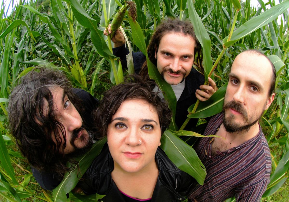 Zea Mays