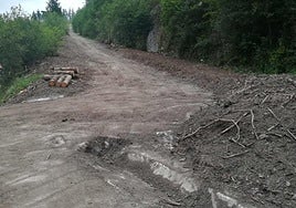 Las podas de árboles que se llevan a cabo en los montes causan daños sobre los caminos rurales.