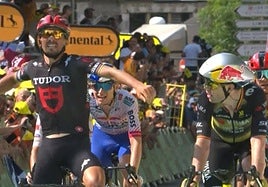Van Aert, sorprendido ante la celebración de Alaphilippe.