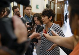 Maribel Vaquero atiende a los periodistas a su llegada al Congreso