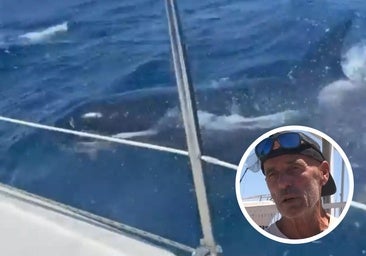 Ataque de orcas a un velero frente a Deba: «Cuando vi que iban a seguir divirtiéndose golpeando el barco pedimos el rescate»