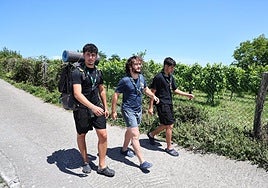 Tiago Dobaño camina junto a dos compañeros del grupo de esplais de Cataluña al lado de unos viñedos en Getaria.