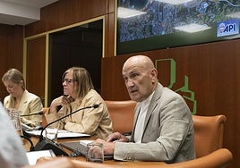 José Luis Polo, este jueves en el Parlamento Vasco.