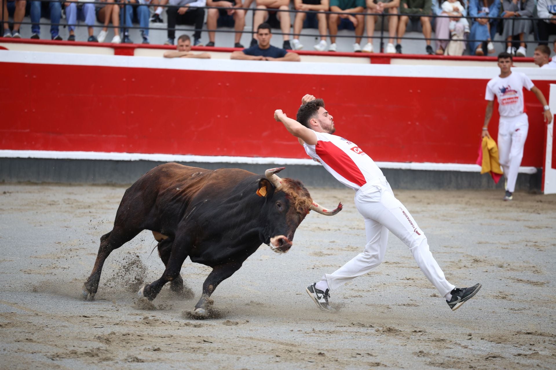 Los recortadores vuelven a triunfar en la plaza de Azpeitia