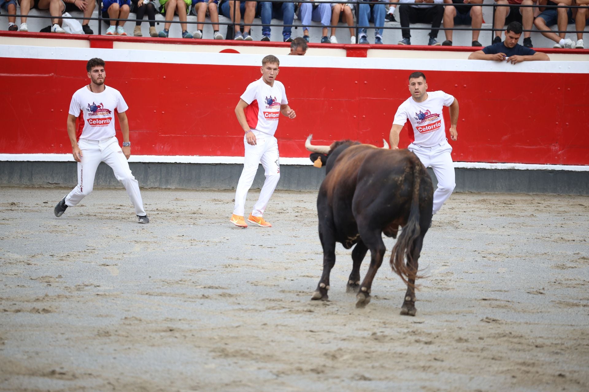 Los recortadores vuelven a triunfar en la plaza de Azpeitia