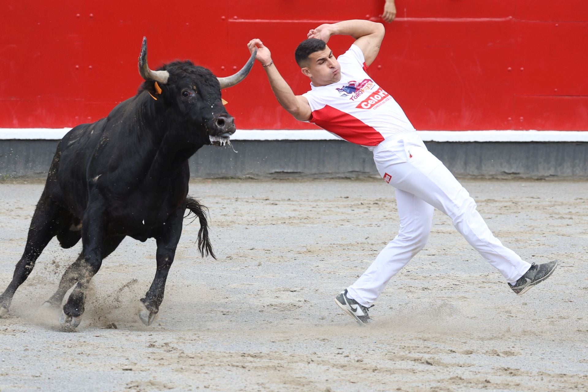 Los recortadores vuelven a triunfar en la plaza de Azpeitia