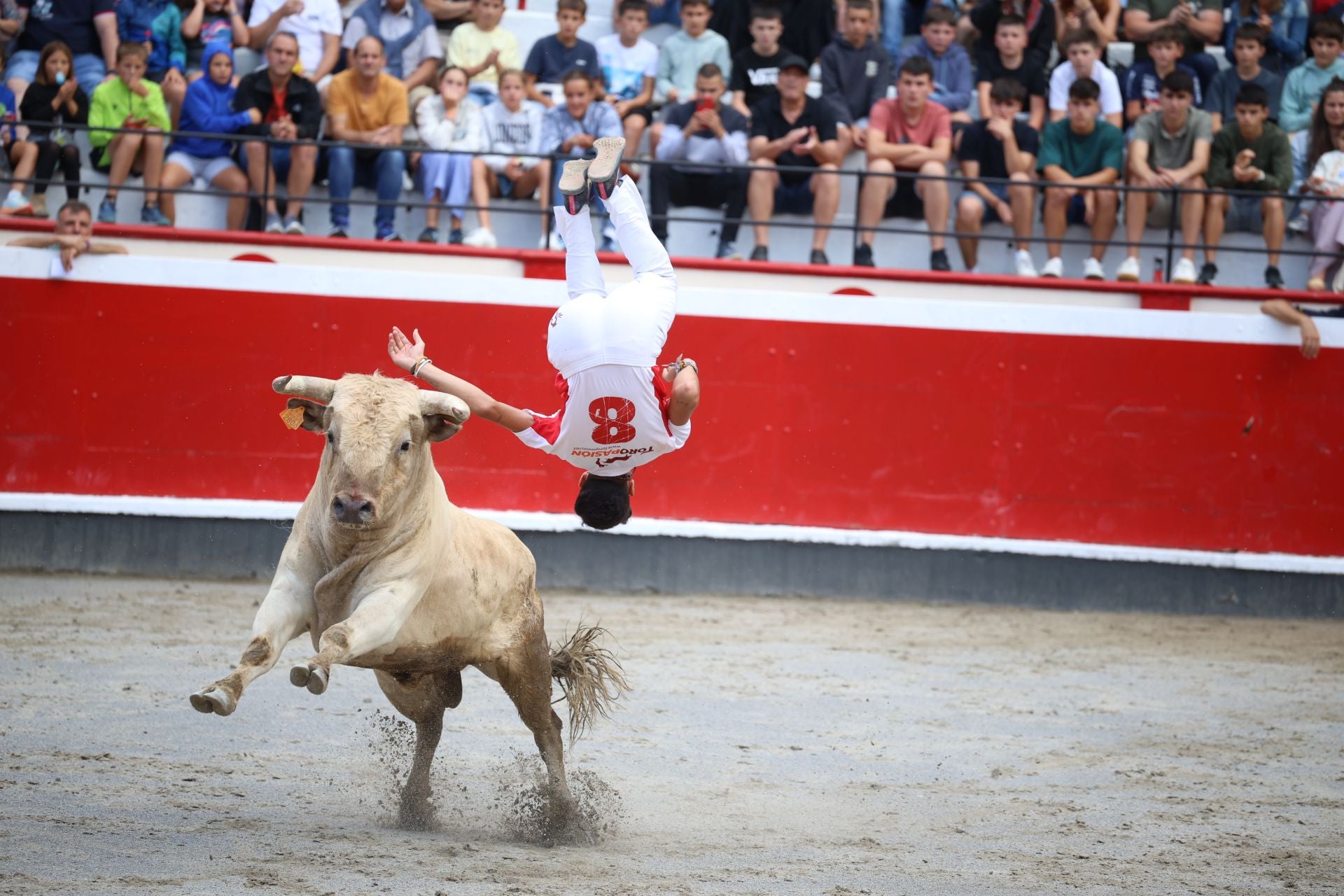 Los recortadores vuelven a triunfar en la plaza de Azpeitia