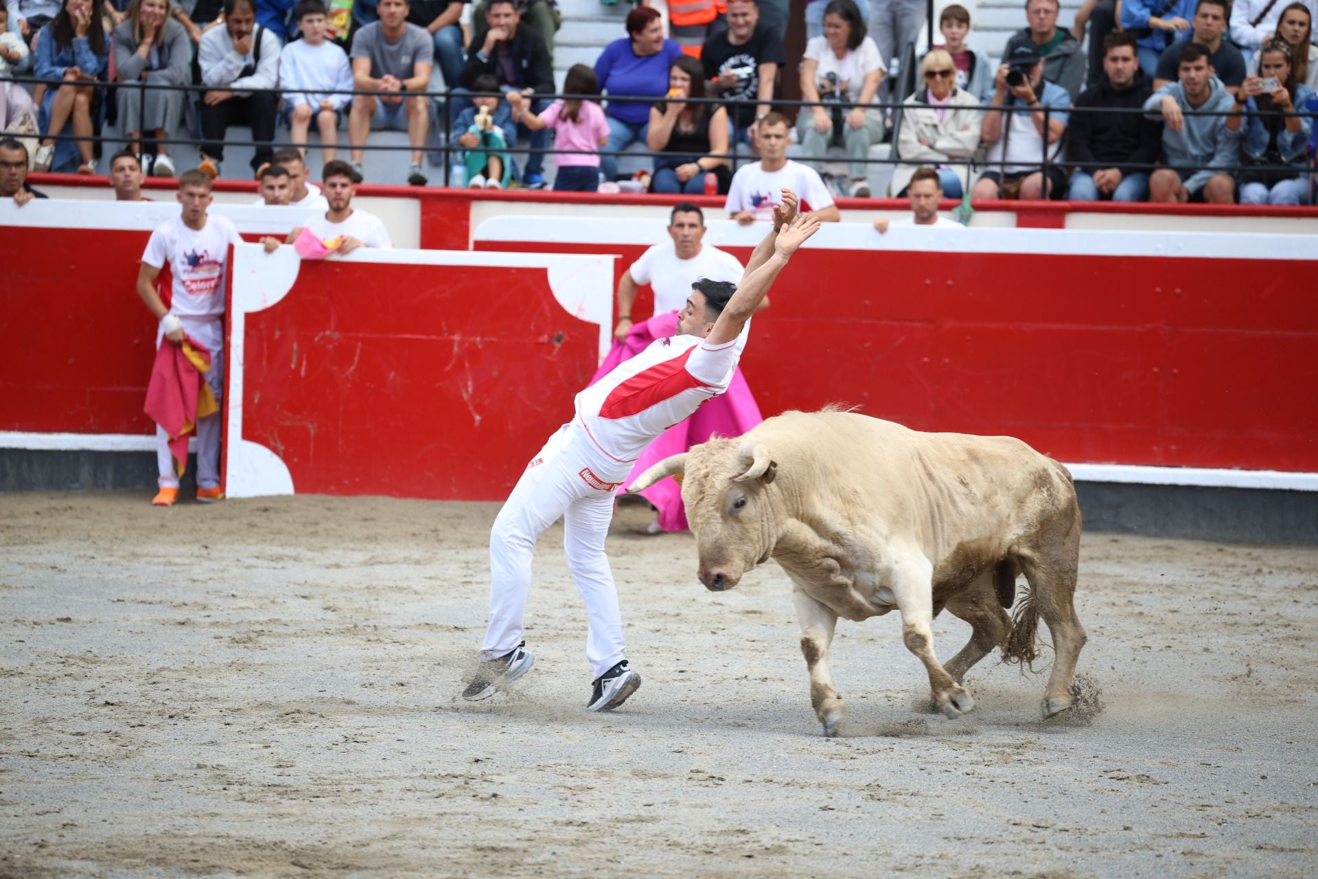 Los recortadores vuelven a triunfar en la plaza de Azpeitia