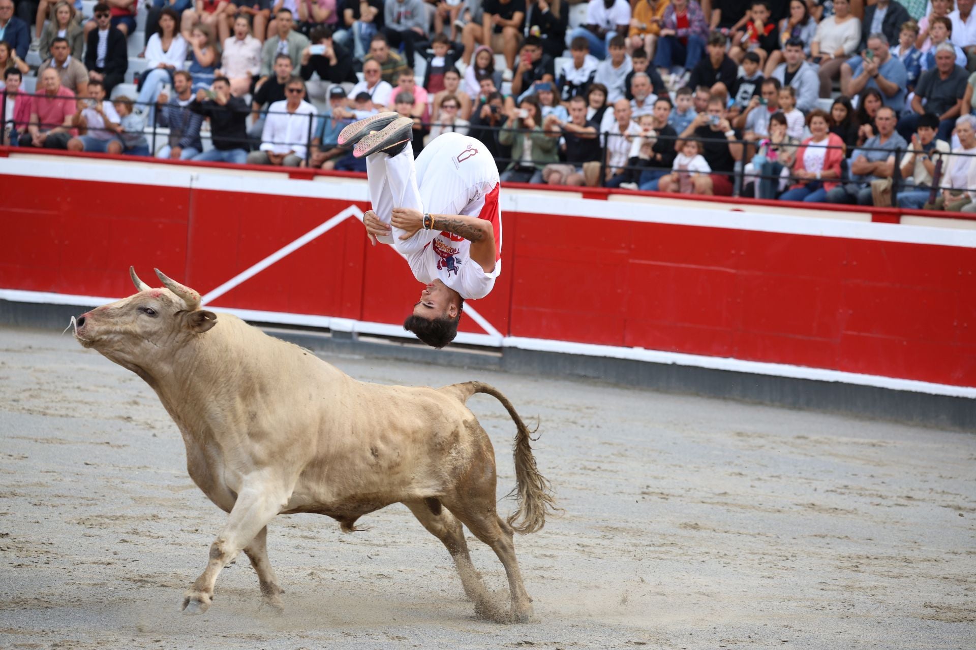 Los recortadores vuelven a triunfar en la plaza de Azpeitia