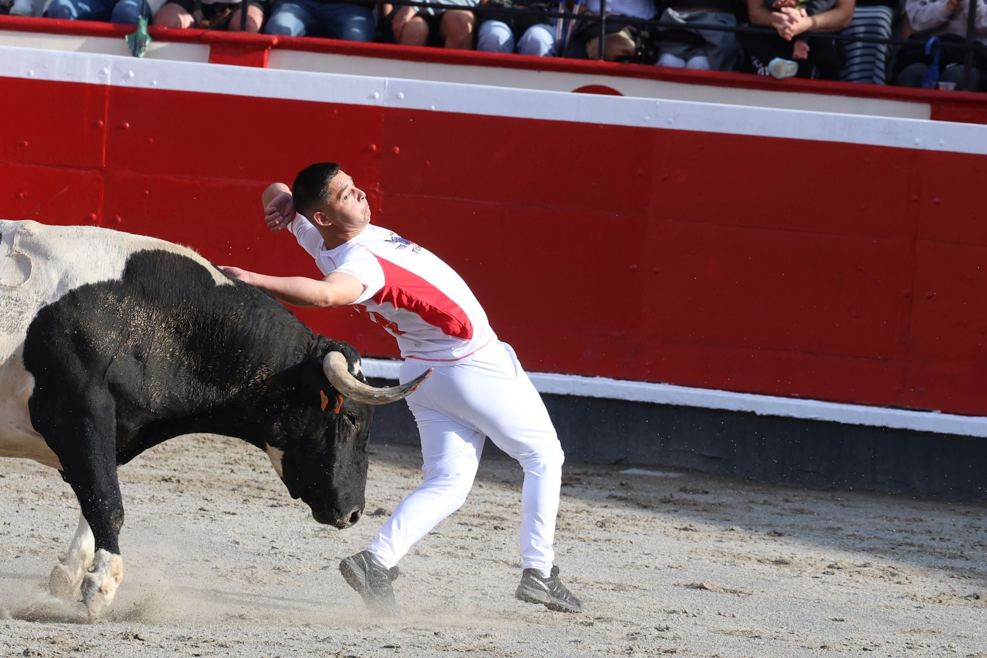 Los recortadores vuelven a triunfar en la plaza de Azpeitia
