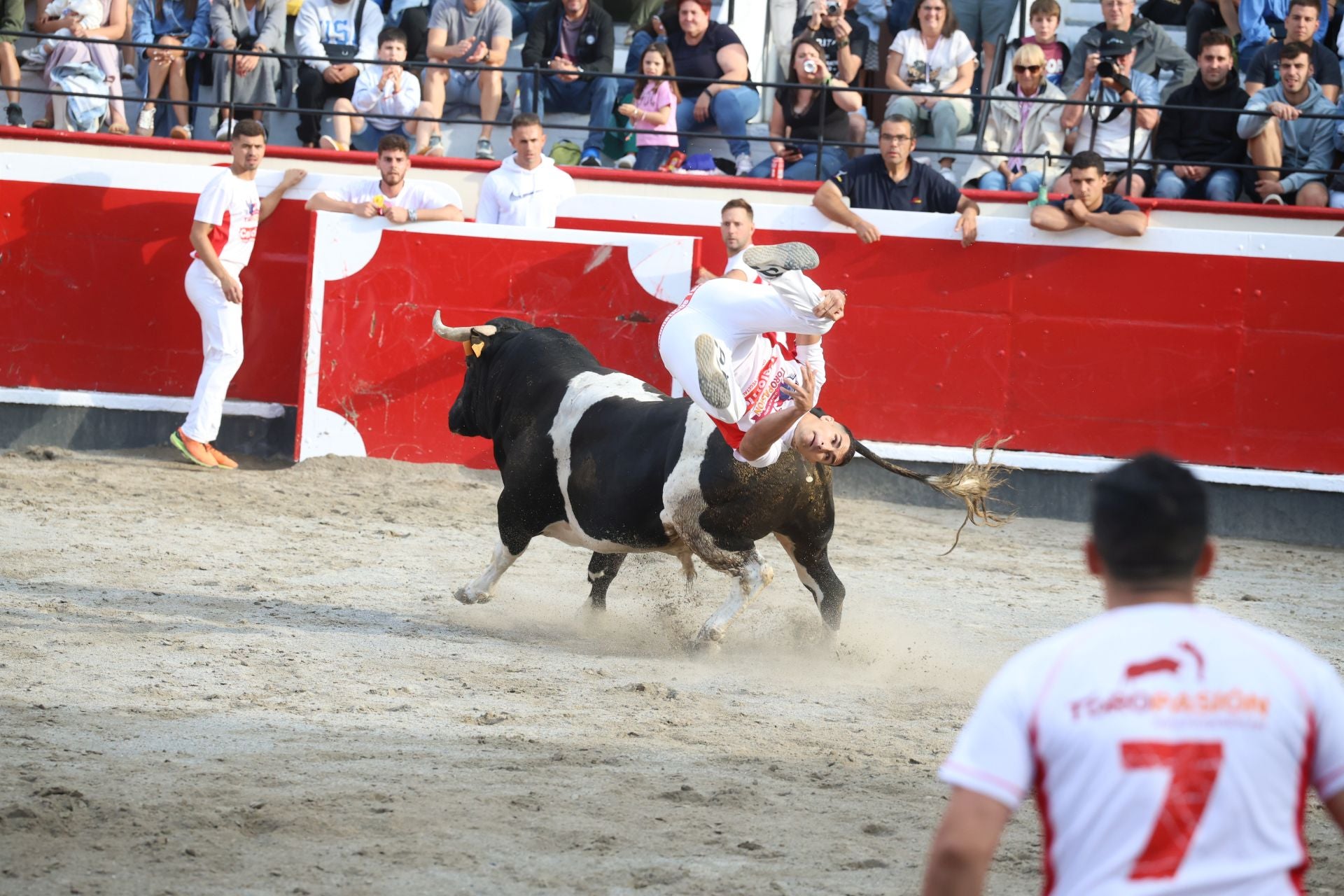 Los recortadores vuelven a triunfar en la plaza de Azpeitia