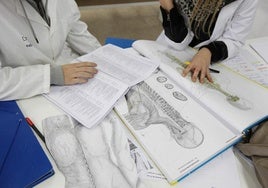 Cinco estudiantes de medicina de la EHU, entre las 100 mejores notas MIR.