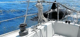 Una orca roza el velero en el que navegaban dos franceses el pasado lunes en la costa de Deba.