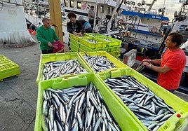 Un futuro justo para la pesca de la anchoa en el Cantábrico