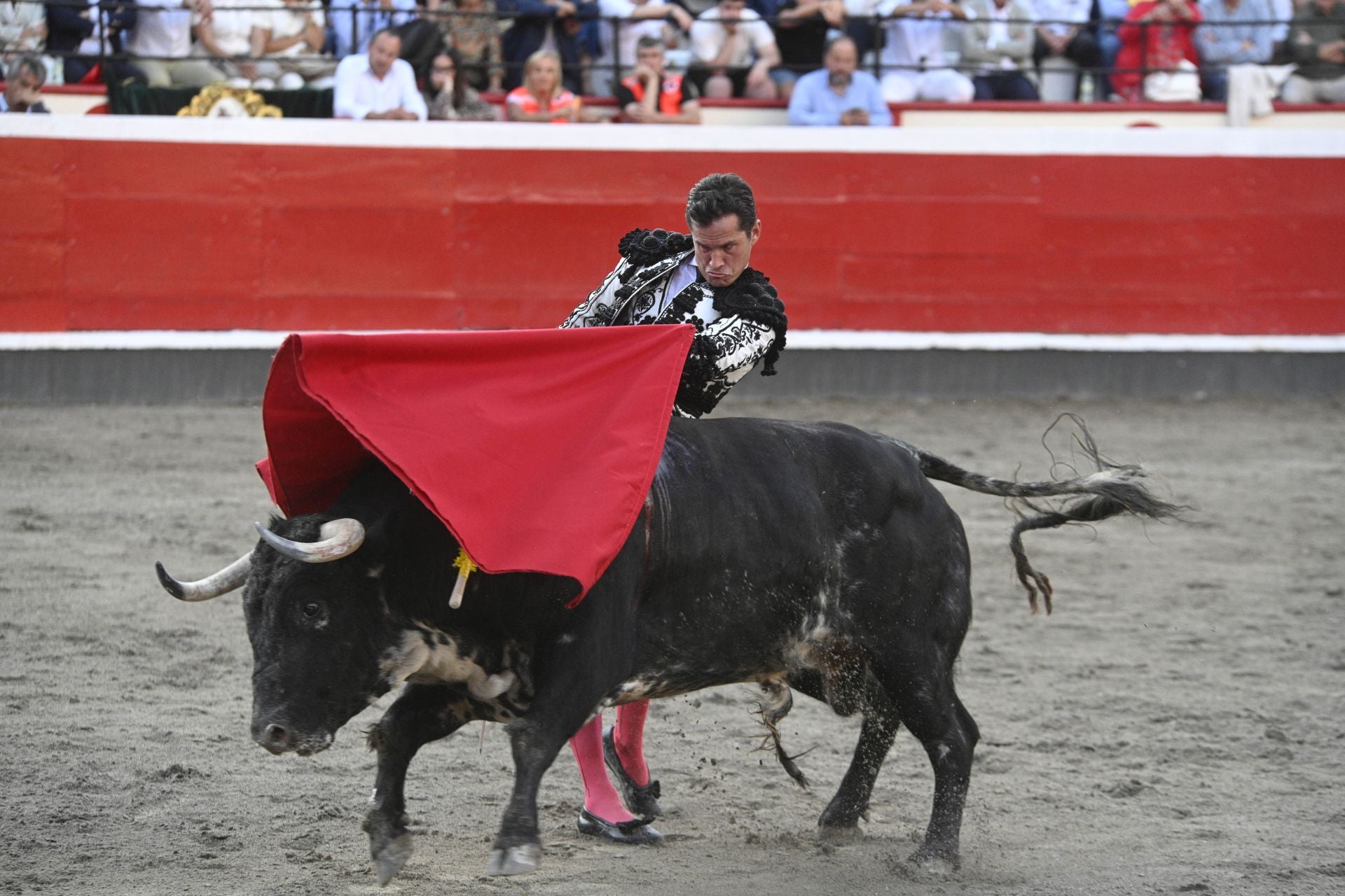 Lleno en Azpeitia para ver los toros