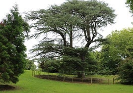 Parkea Bizirik denuncia la «masificación» y «vandalización» de Cristina Enea de Donostia