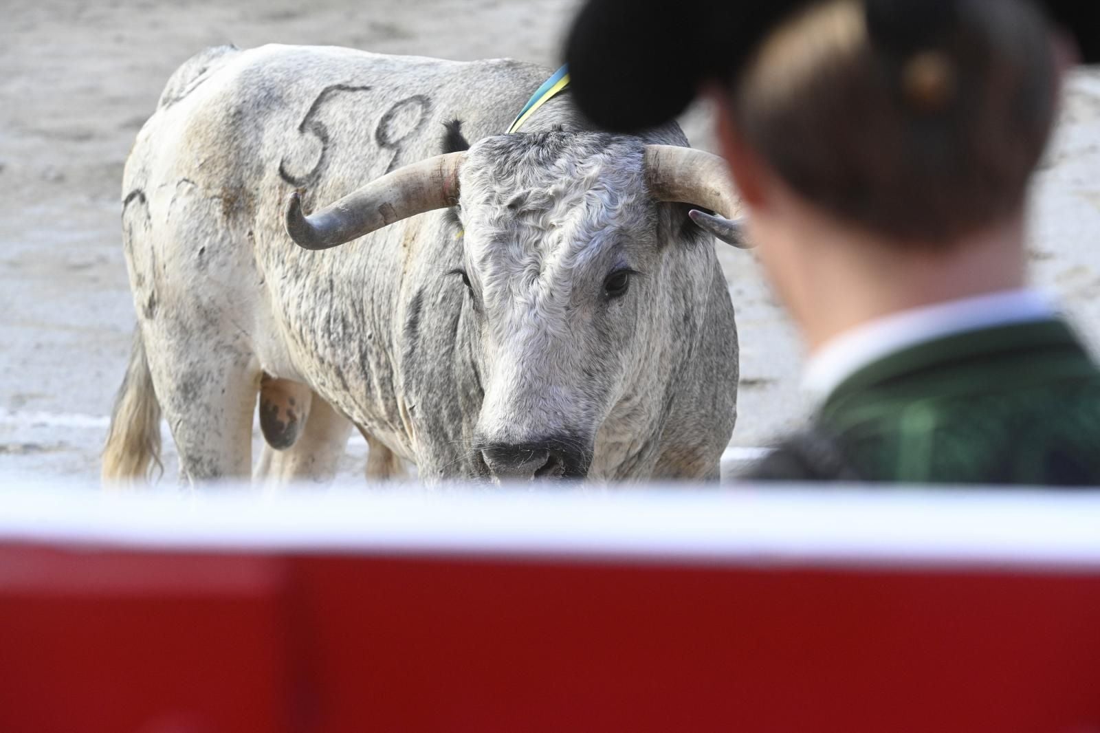 Una espléndida corrida en la Feria de Azpeitia