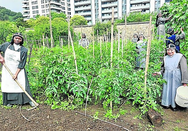 Trabajo con los productos del campo por parte de las religiosas.