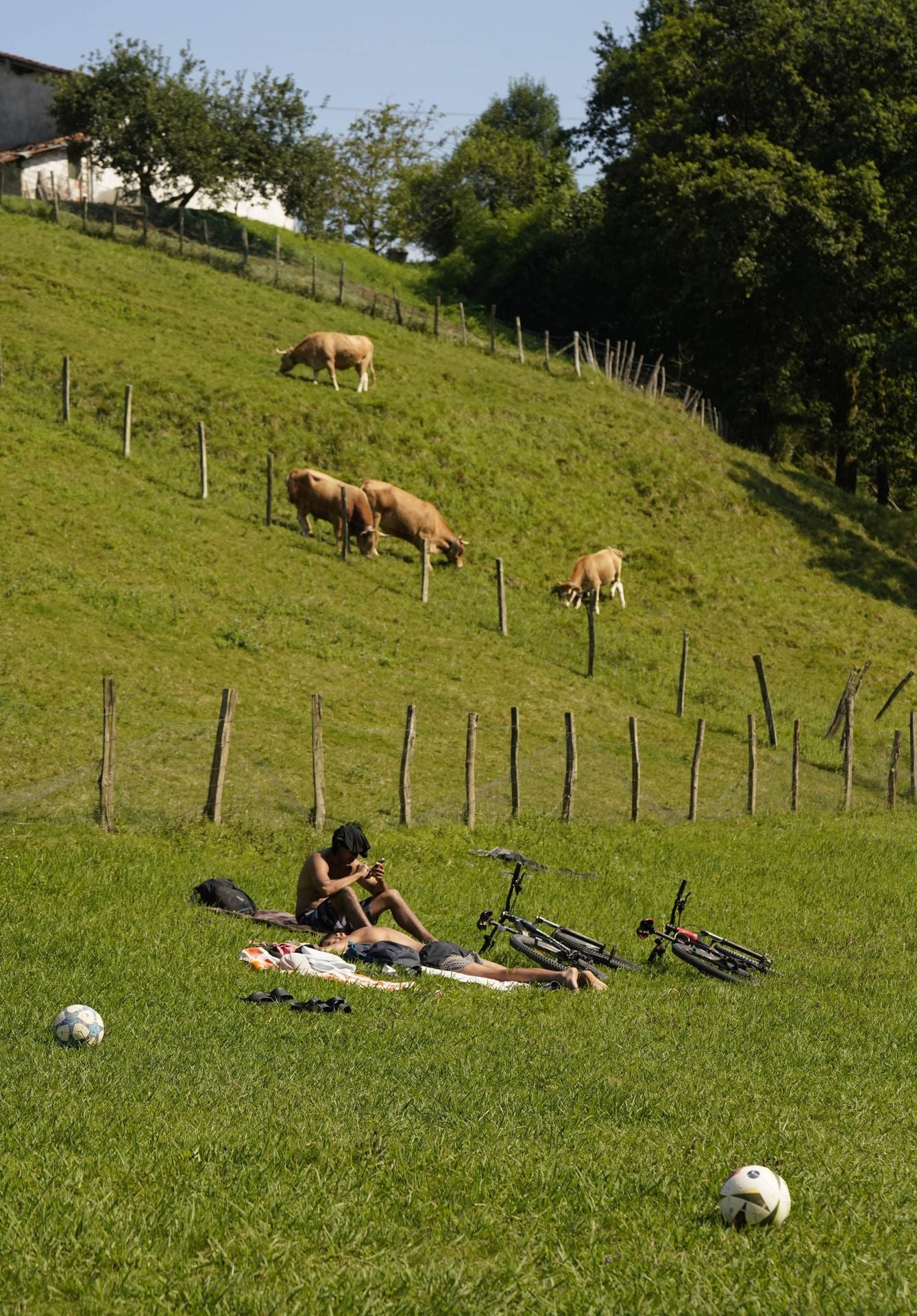 Semana de sol y calor