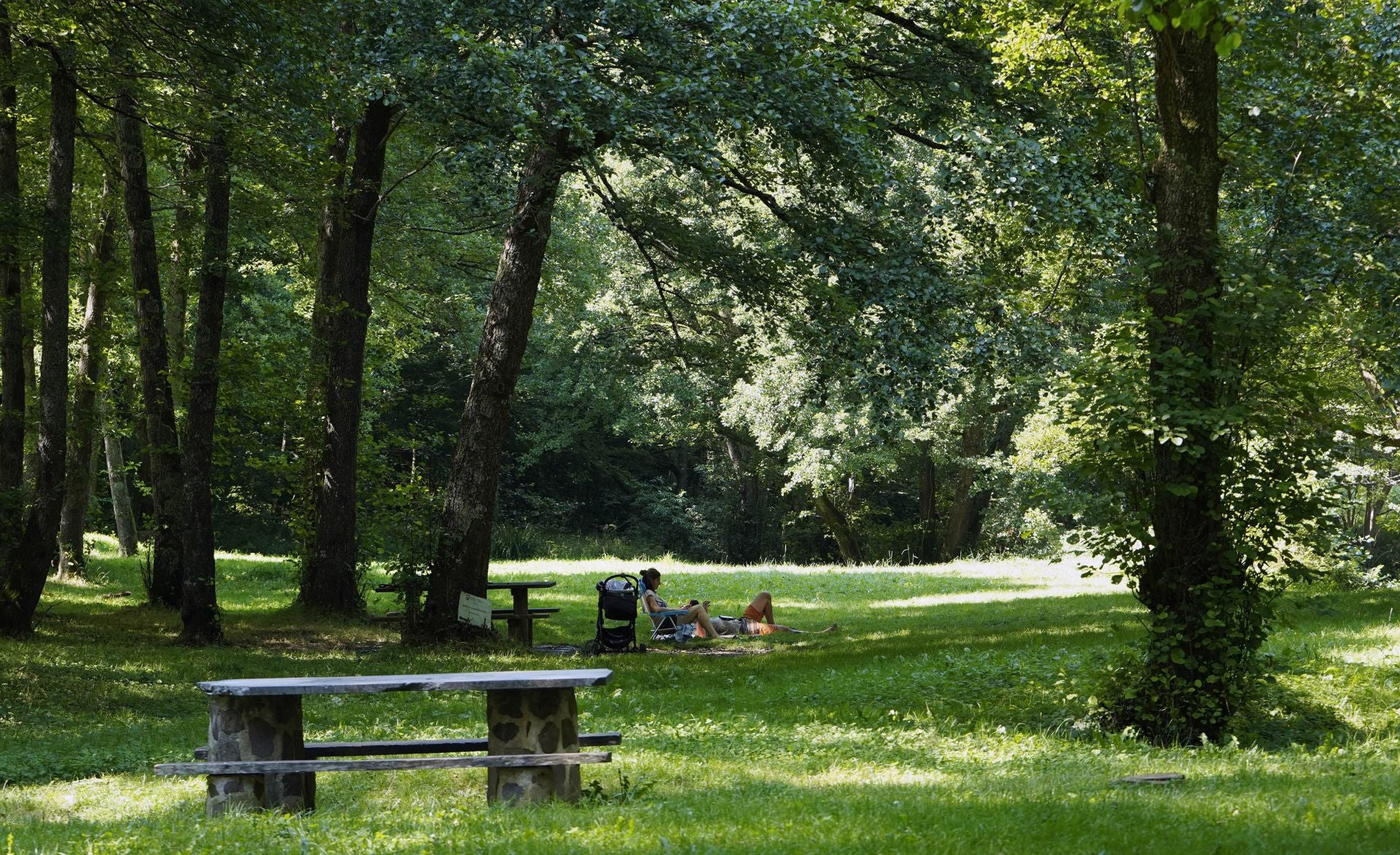 Semana de sol y calor