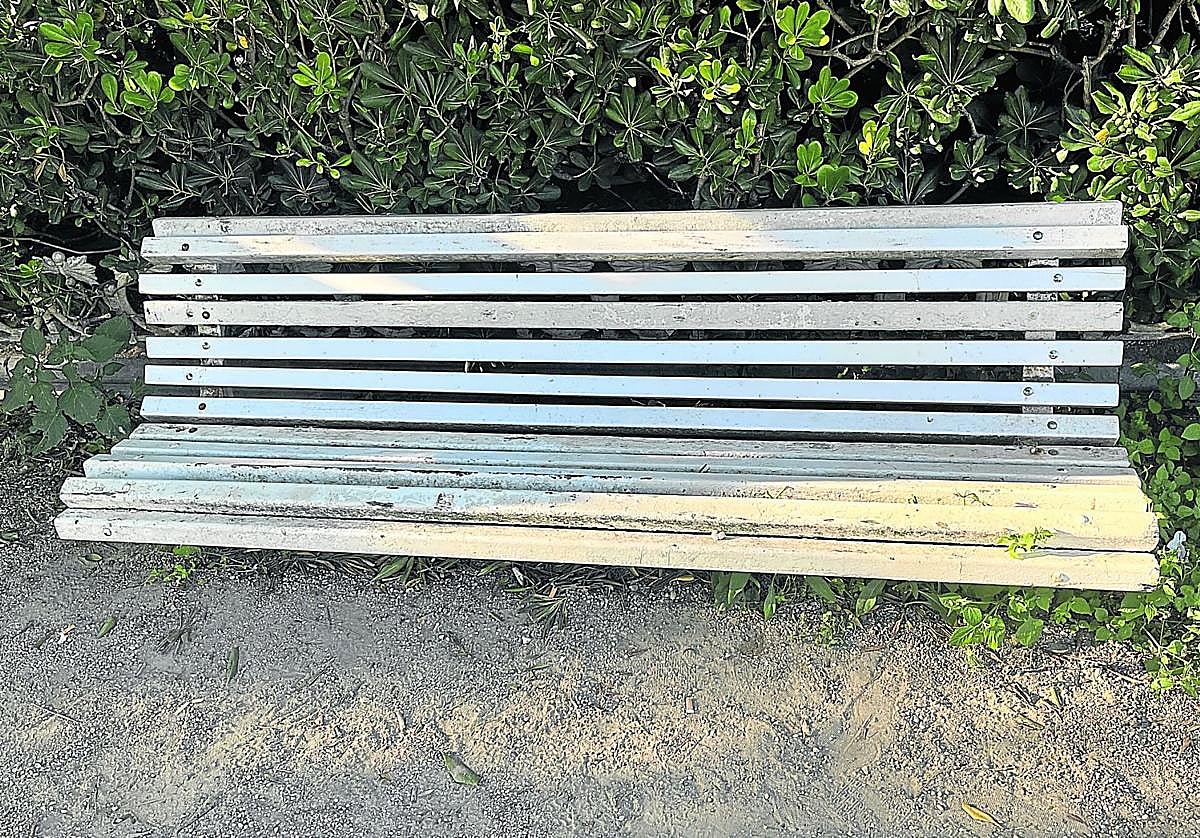 Denuncia Maite: «Estado de abandono total en los bancos y sus alrededores en Ondarreta, ya que no existe mantenimiento. Los bancos son comidos por los arbustos y por el paso del tiempo… Al igual que los preciosos tamarices. Una vergüenza. Estamos en pleno verano y todo luce así de bonito en una de nuestra playas».