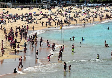 El día de ayer, especialmente caluroso, transcurrió con normalidad en la costa guipuzcoana y no se registraron incidentes relacionados con carabelas portuguesas.