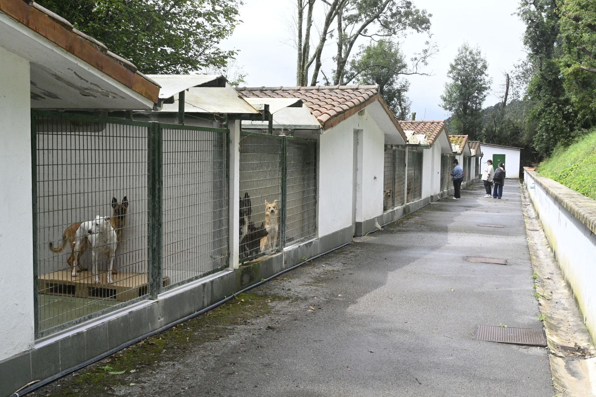 Una protectora llena de colores