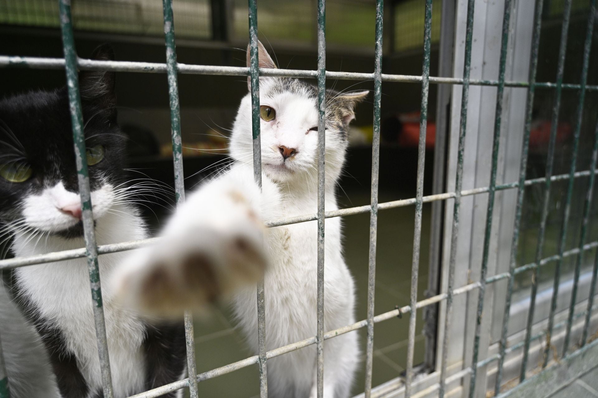 Una protectora llena de colores